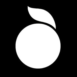 In the Rhythm of the Night