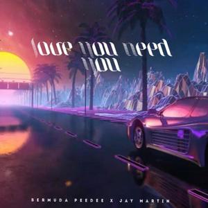 Love You Need You (feat. Jay Martin)