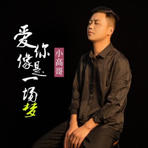 爱你像是一场梦封面