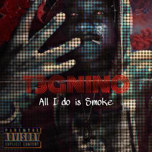 All I do is Smoke (Explicit)