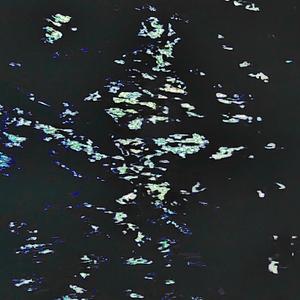 Memotion from/have you?