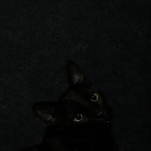 Shehar Badnam (Explicit)