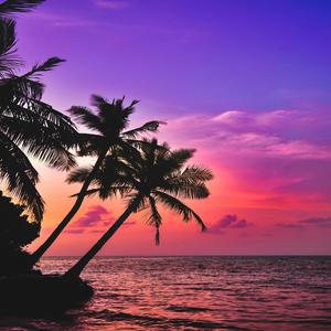 Sunset Beach Lofi Beat