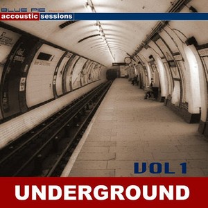 Acoustic Sessions Underground: Vol. 1