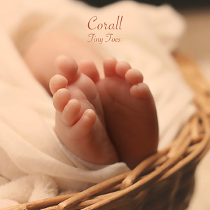 Tiny Toes