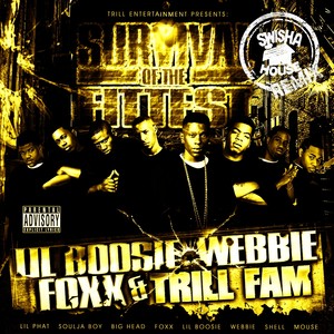 Materialistic B***h (feat. Soulja Boy, Lil Phat & Shell) [Chopped & Screwed] (Explicit)