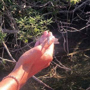 Something in the Air