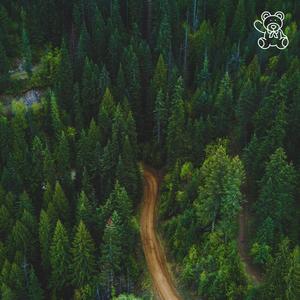 Not Alone (feat. Wilse & Wilse Inspired)