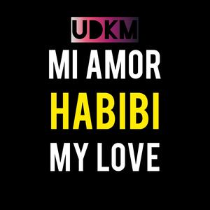 Mi amor, habibi, my love