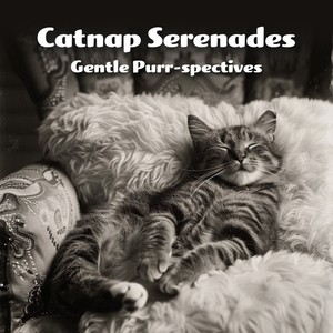 Catnap Serenades: Gentle Purr-spectives