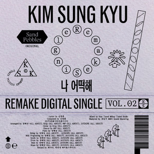 김성규 (KIM SUNG KYU) Remake Digital Single Vol.2