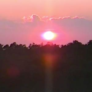 ACTIN DUMBER (Explicit)