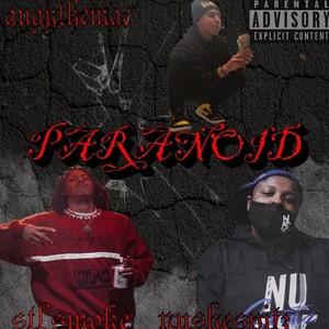 PARANIOD (feat. STL Smoke & NuSheSpitz) [Explicit]