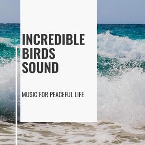 Incredible Birds Sound - Music for Peaceful Life