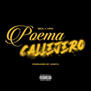 Poema Callejero (feat. BKAVELEE & UFO 88) (Explicit)