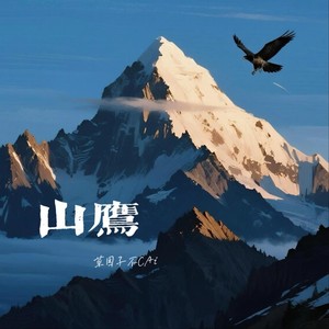 山鹰