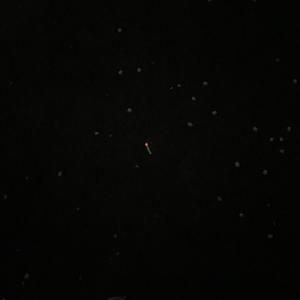 뭔 (what) (Explicit)