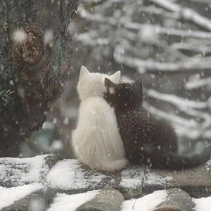 your hands are so cold