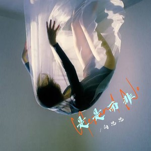 向思思 - 是是而非
