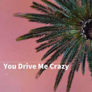 You Drive Me Crazy