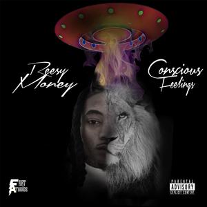 Conscious Feelings (Explicit)