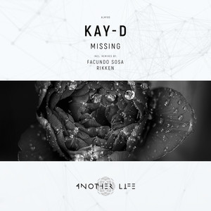 Missing (Facundo Sosa Remix)