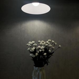 大眠 (45秒吉他弹唱版片段|吉他弹唱版片段)