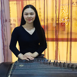 拔根芦柴花-刘杨 (古筝版)