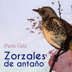 Zorzales de Antaño… Pena Calé