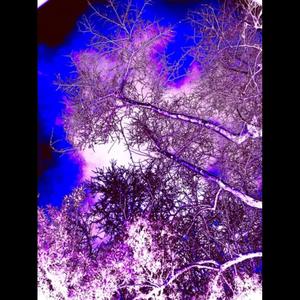 PurpleSnowBoy (Explicit)