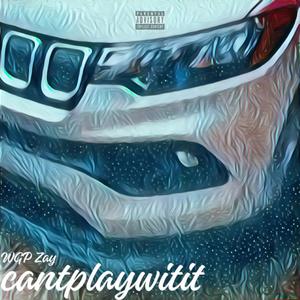 cantplaywitit