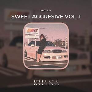 Valiant Knight (Phonk Gym)