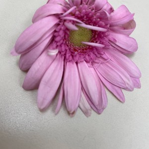 Breathy asmr for when your mood needs to know whats up (feat. Upr!ze) (Explicit)