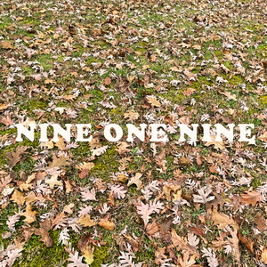 Nine One Nine (Explicit)