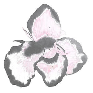 winter prod.chibi (feat. NaClo) (Explicit)