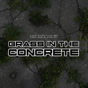 Grass In The Concrete