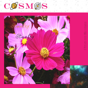 Cosmos