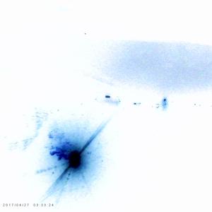 notebook therapy (feat. Bocaj) (Explicit)