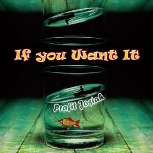If You Want It (Extended Version)