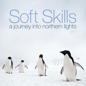 Soft Skills - A Journey Into Northern Lights, Pt. 1