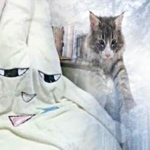 hahaha freestyle (Explicit)