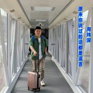 原来你说过的话都是谎言
