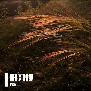 致那位道士朋友 (伴奏)