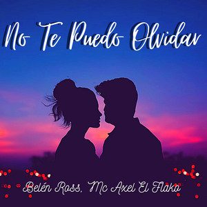 No Te Puedo Olvidar