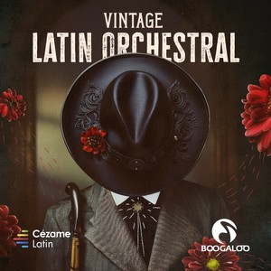 Vintage Latin Orchestral