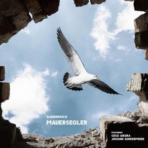 Mauersegler (feat. Coco Aikura & Johann Sundermeier) (Explicit)