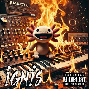IGNIS (Explicit)
