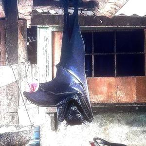 Sikk 2 My Stomach (feat. B1AKE) (Explicit)