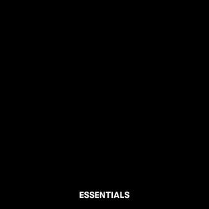 BANDCAMP ESSENTIALS (Explicit)