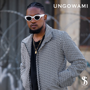 Ungowami